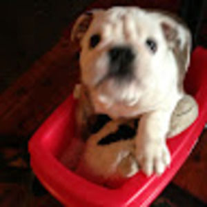 Meet your Posher, Colton